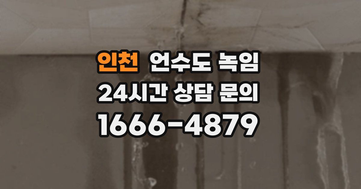 인천 언수도 녹임