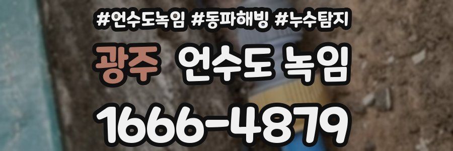 광주 언수도 녹임