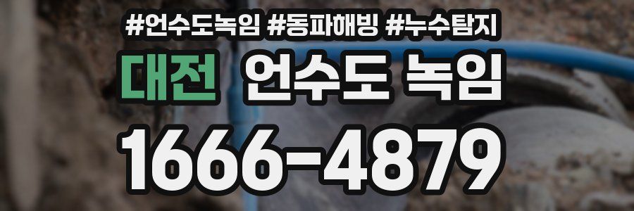 대전 언수도 녹임