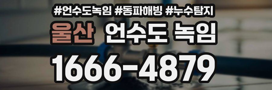 울산 언수도 녹임