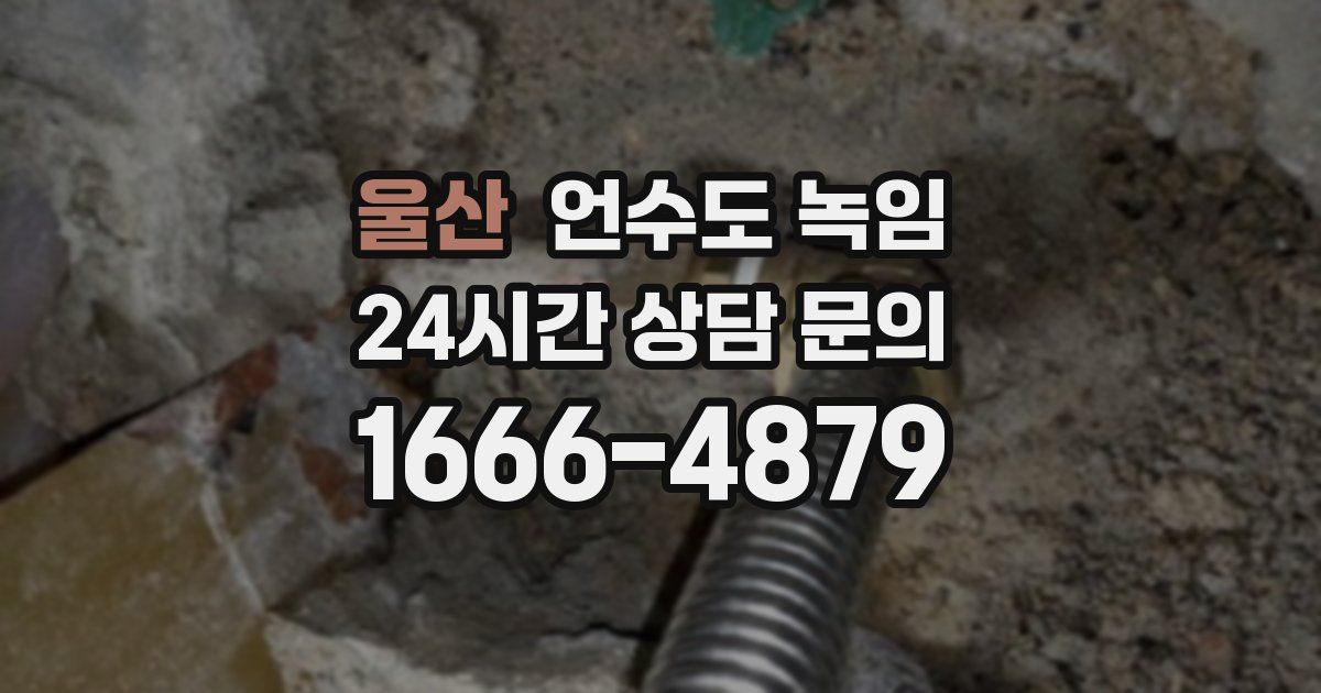 울산 언수도 녹임
