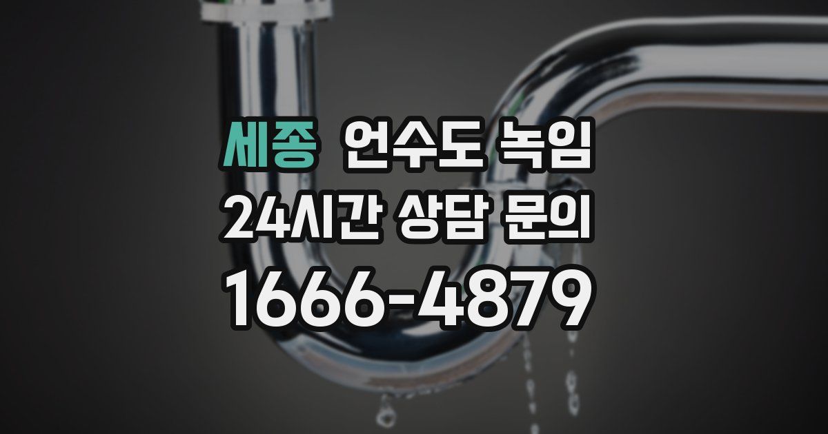 세종 언수도 녹임