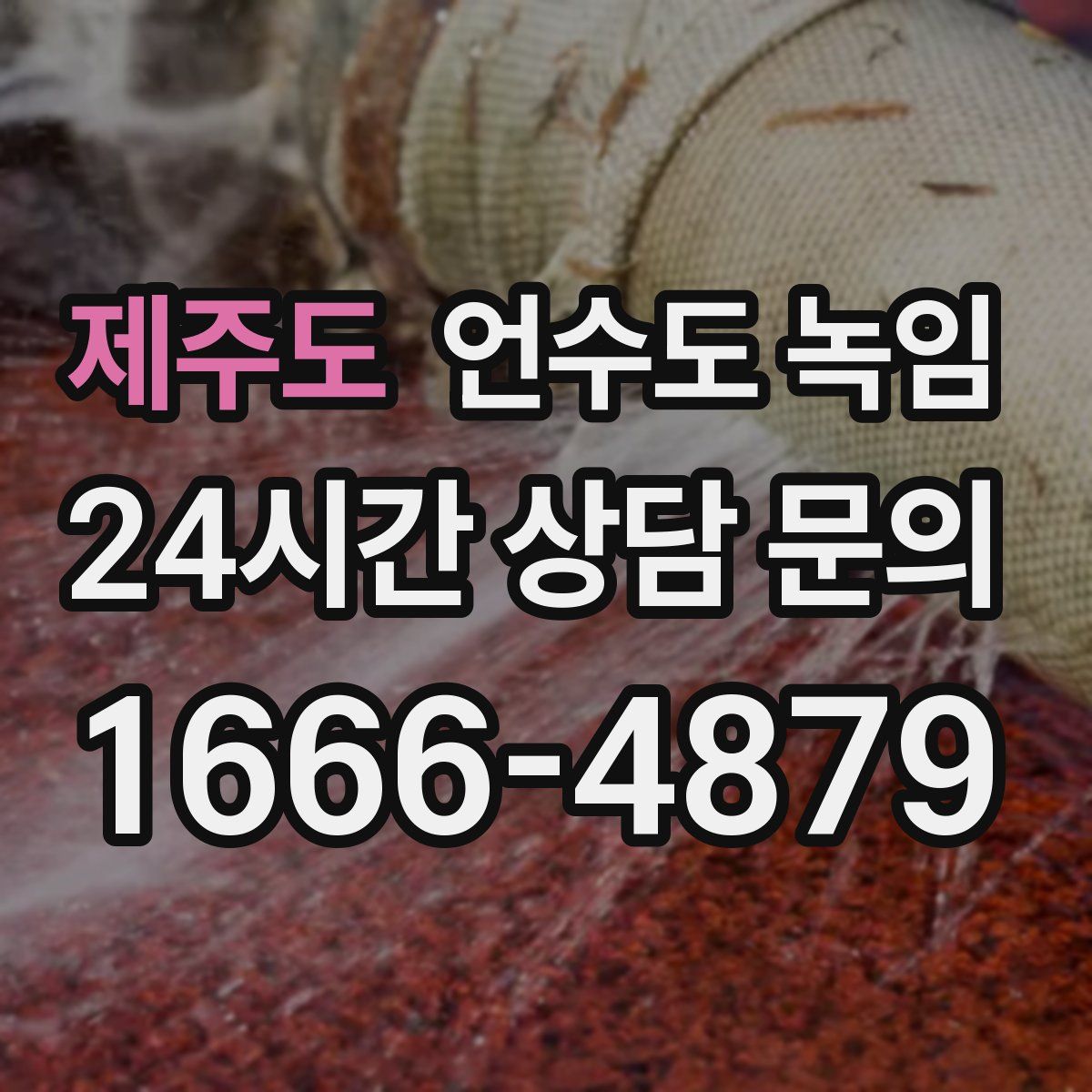 제주도 언수도 녹임