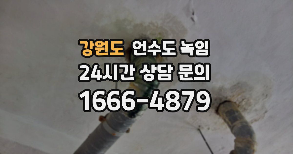 강원도 언수도 녹임