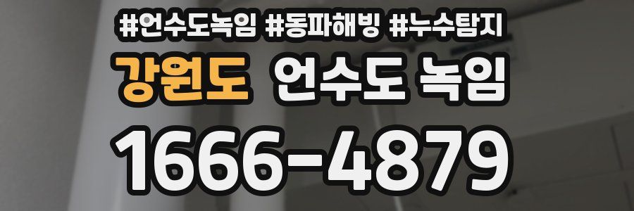 강원도 언수도 녹임