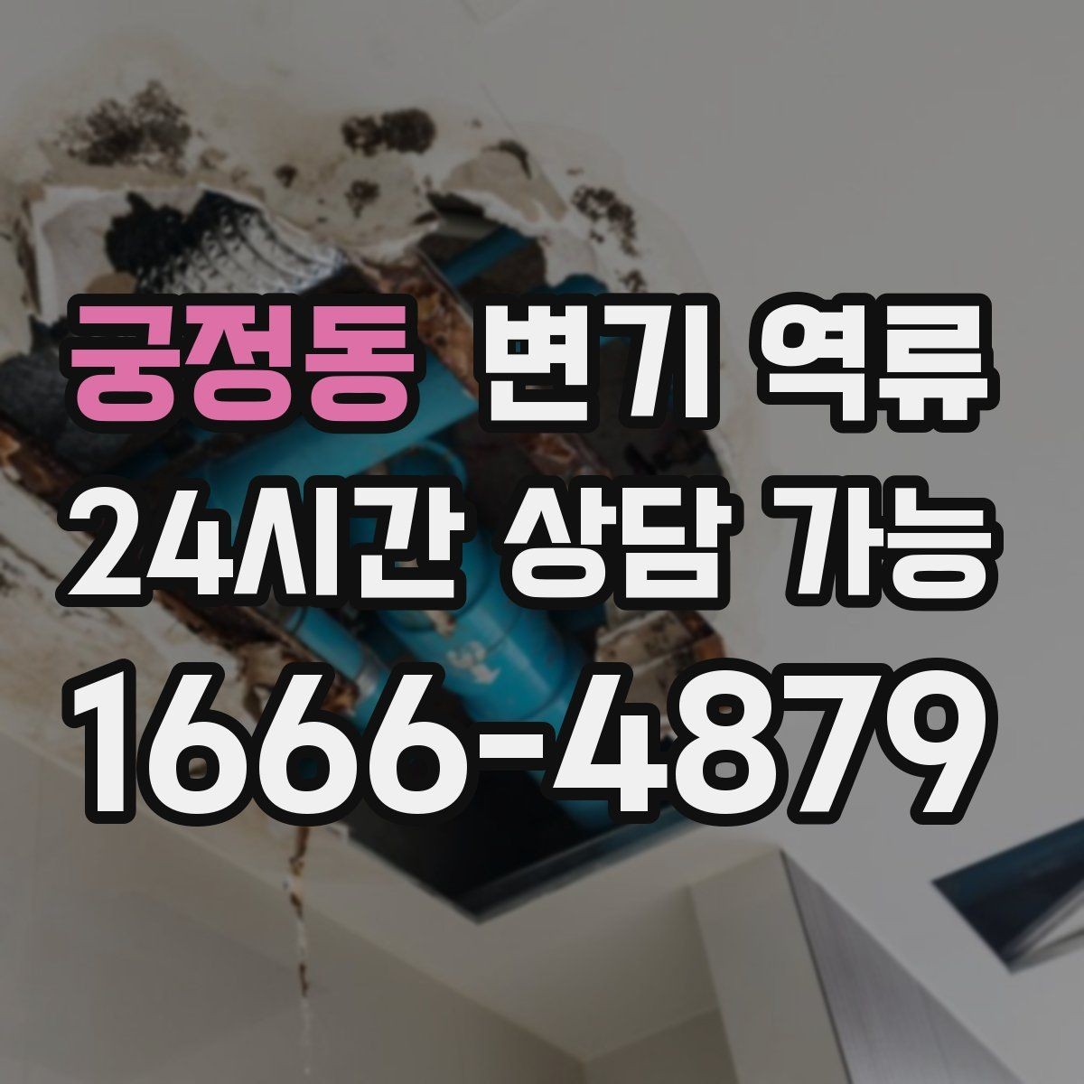 궁정동 변기 역류 공용 화장실 막힘이 커지는 과정
