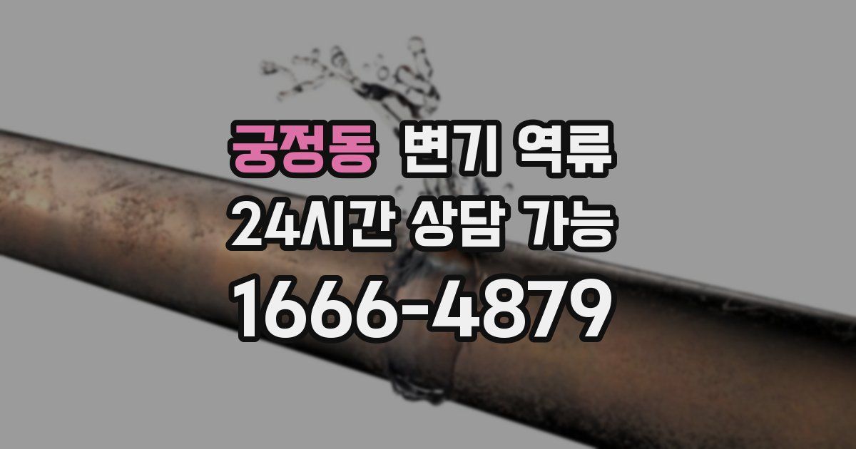 궁정동 변기 역류