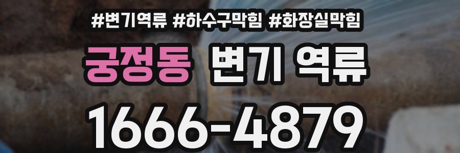 궁정동 변기 역류