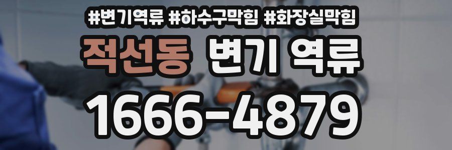 적선동 변기 역류