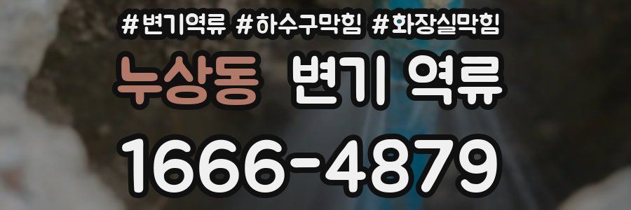 누상동 변기 역류