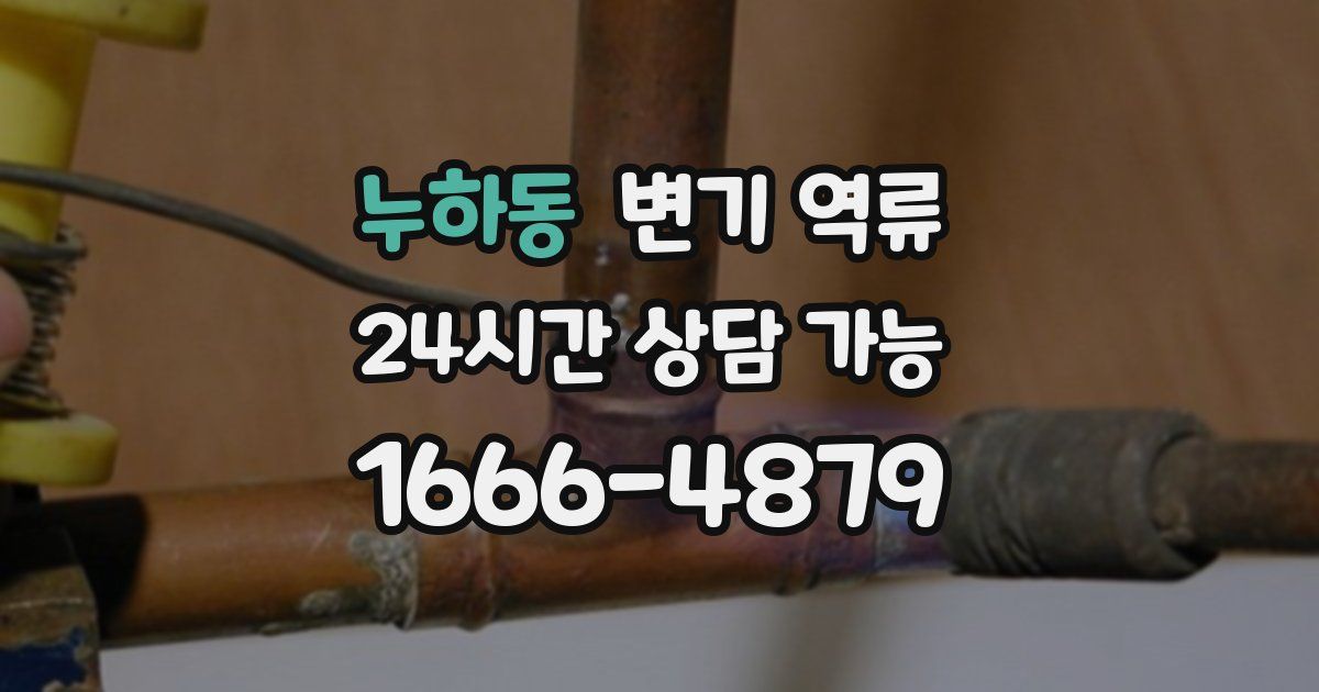 누하동 변기 역류