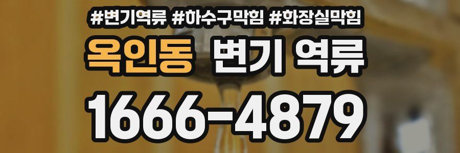 옥인동 변기 역류
