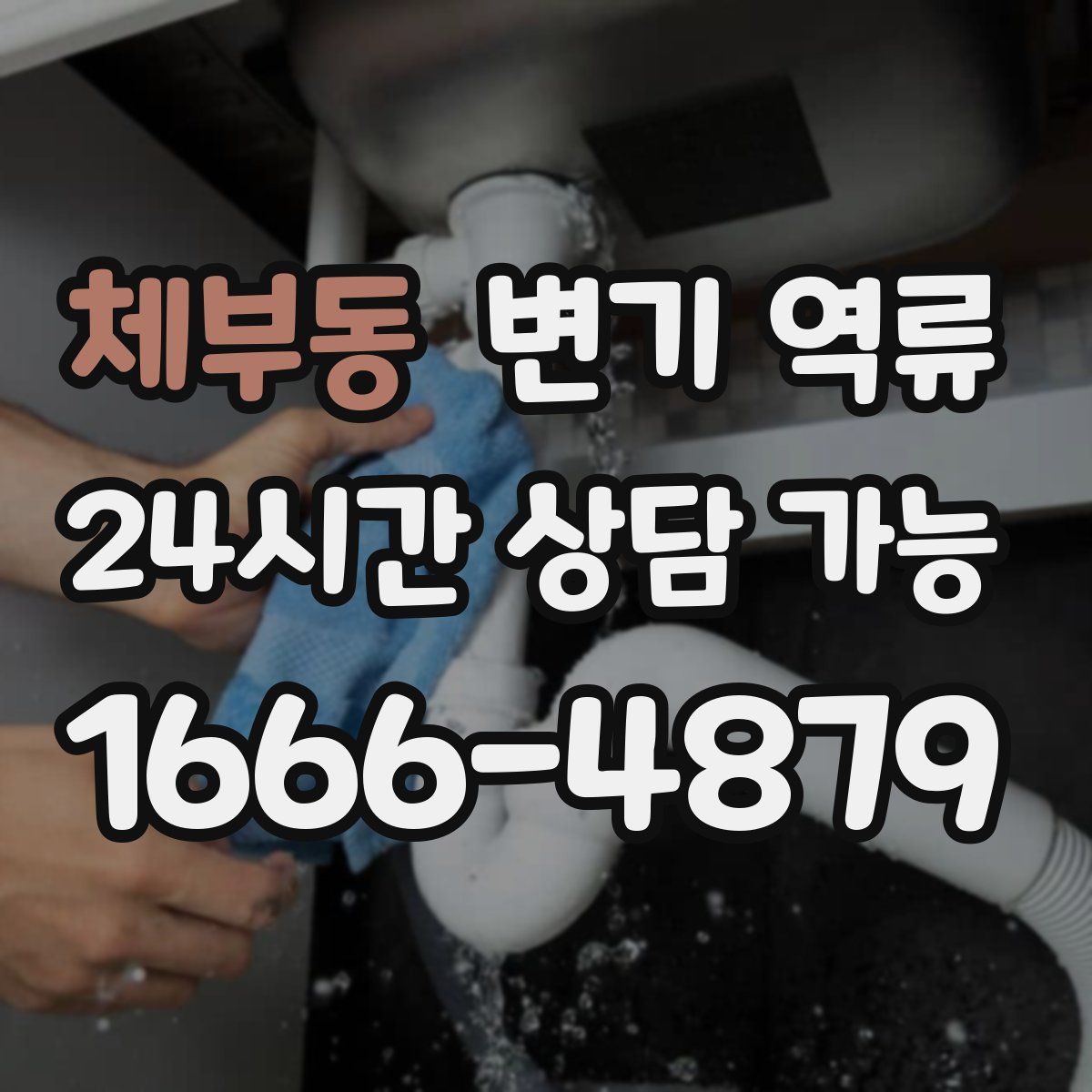 체부동 변기 역류