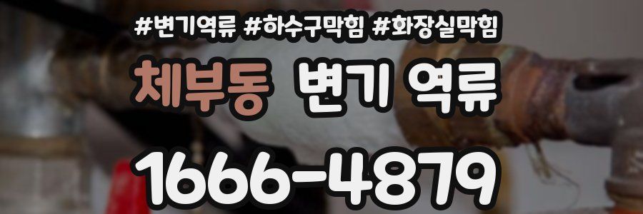 체부동 변기 역류