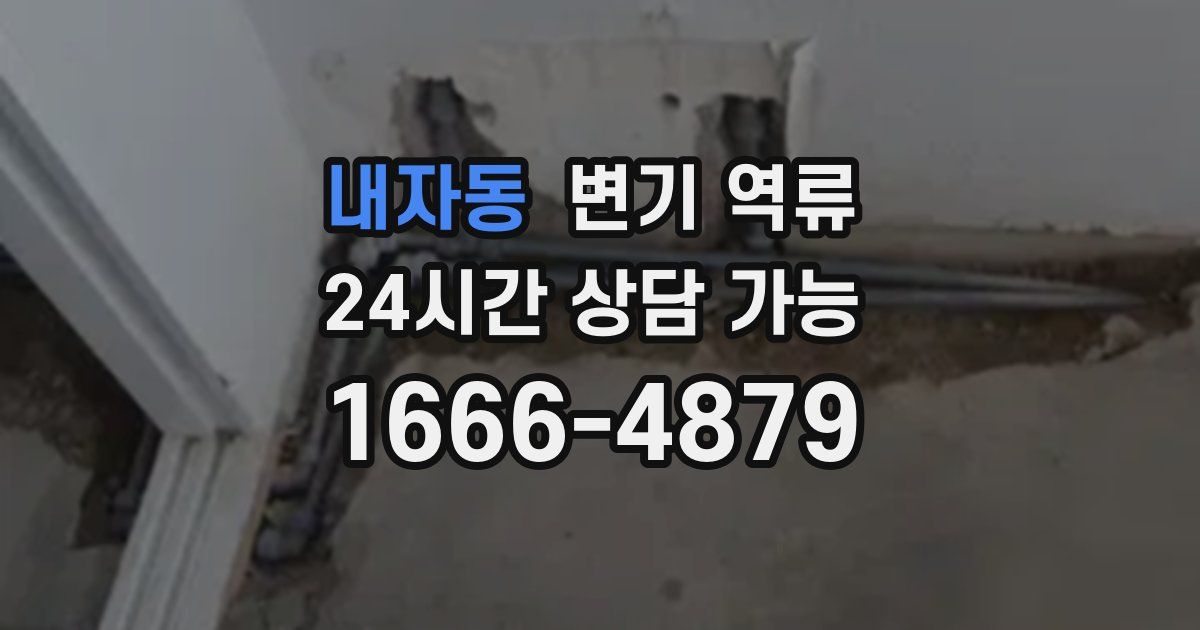 내자동 변기 역류