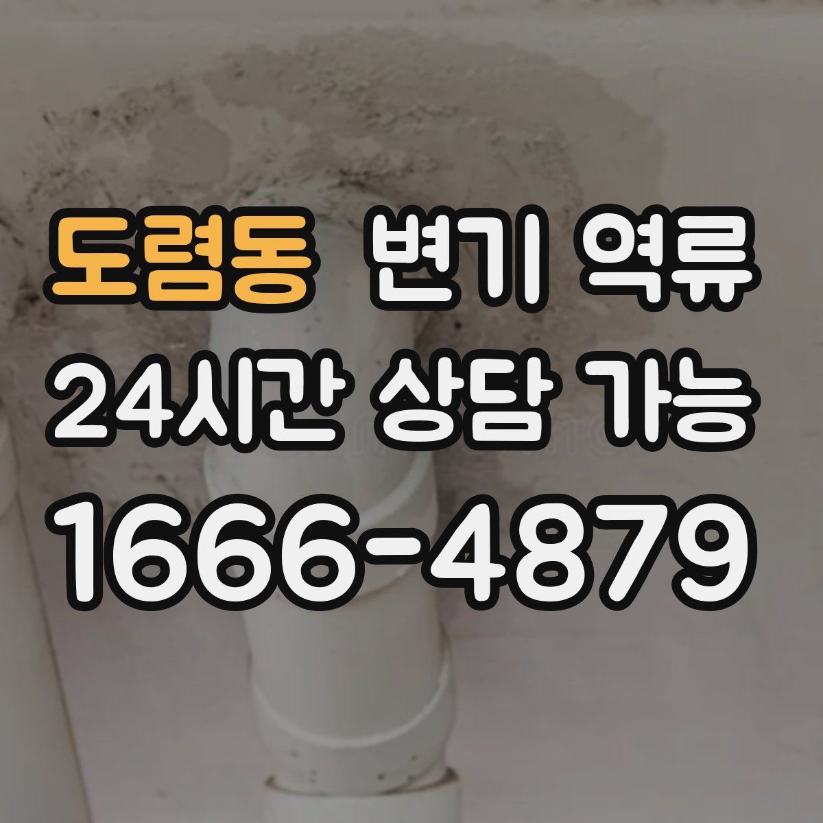 도렴동 변기 역류