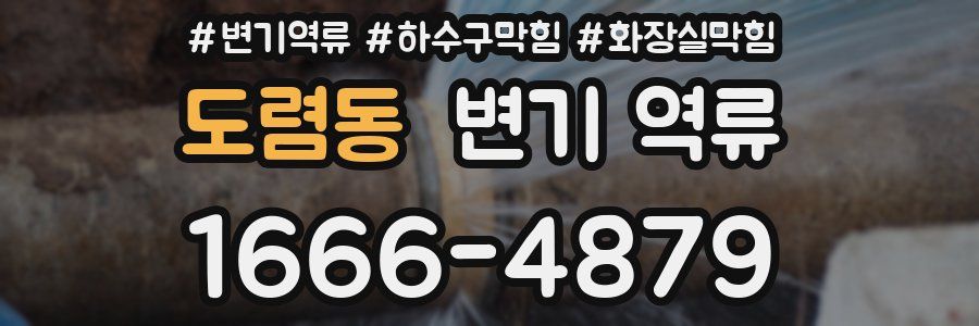 도렴동 변기 역류