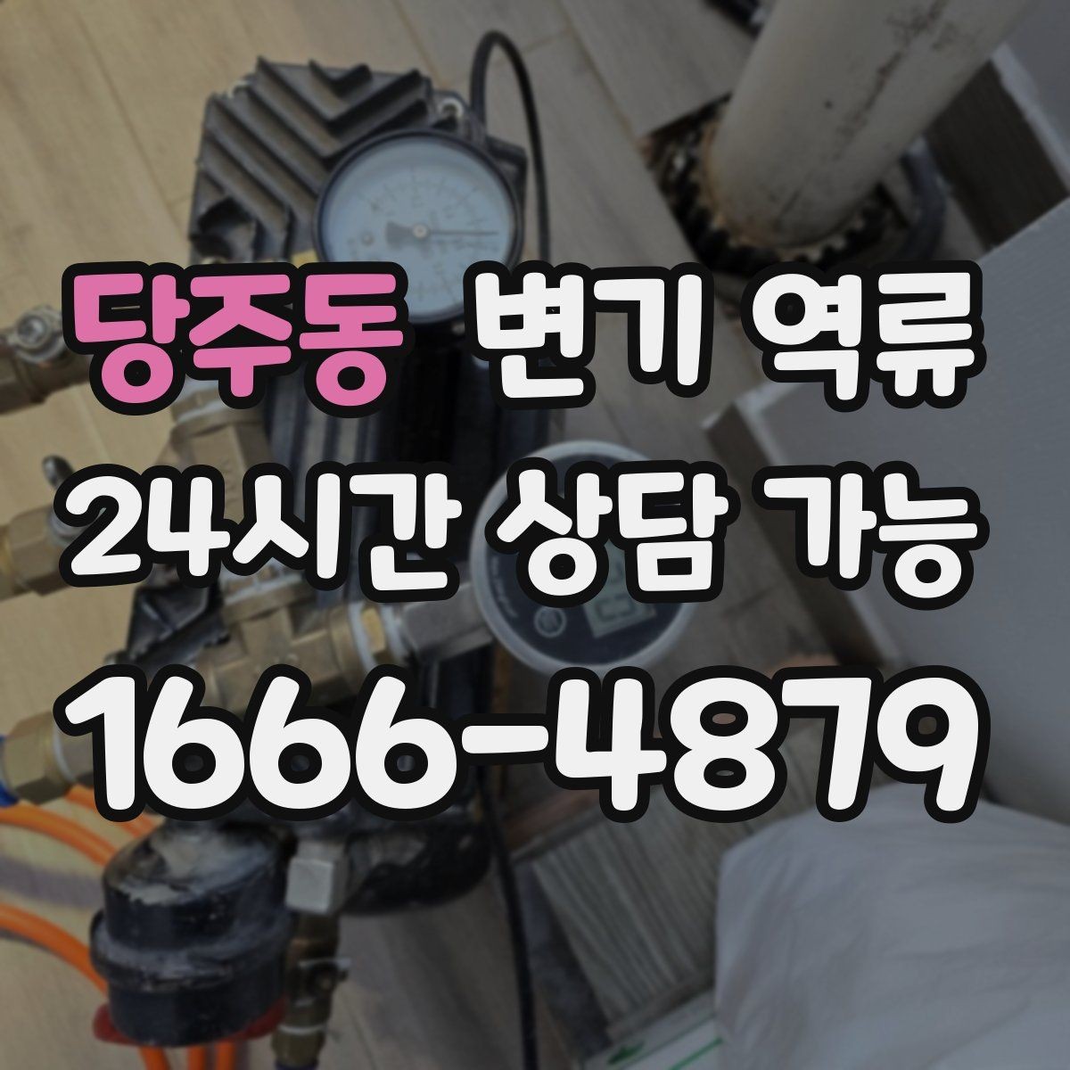 당주동 변기 역류 우리 집만의 문제가 아닐 수 있는 신호