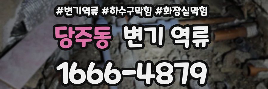 당주동 변기 역류