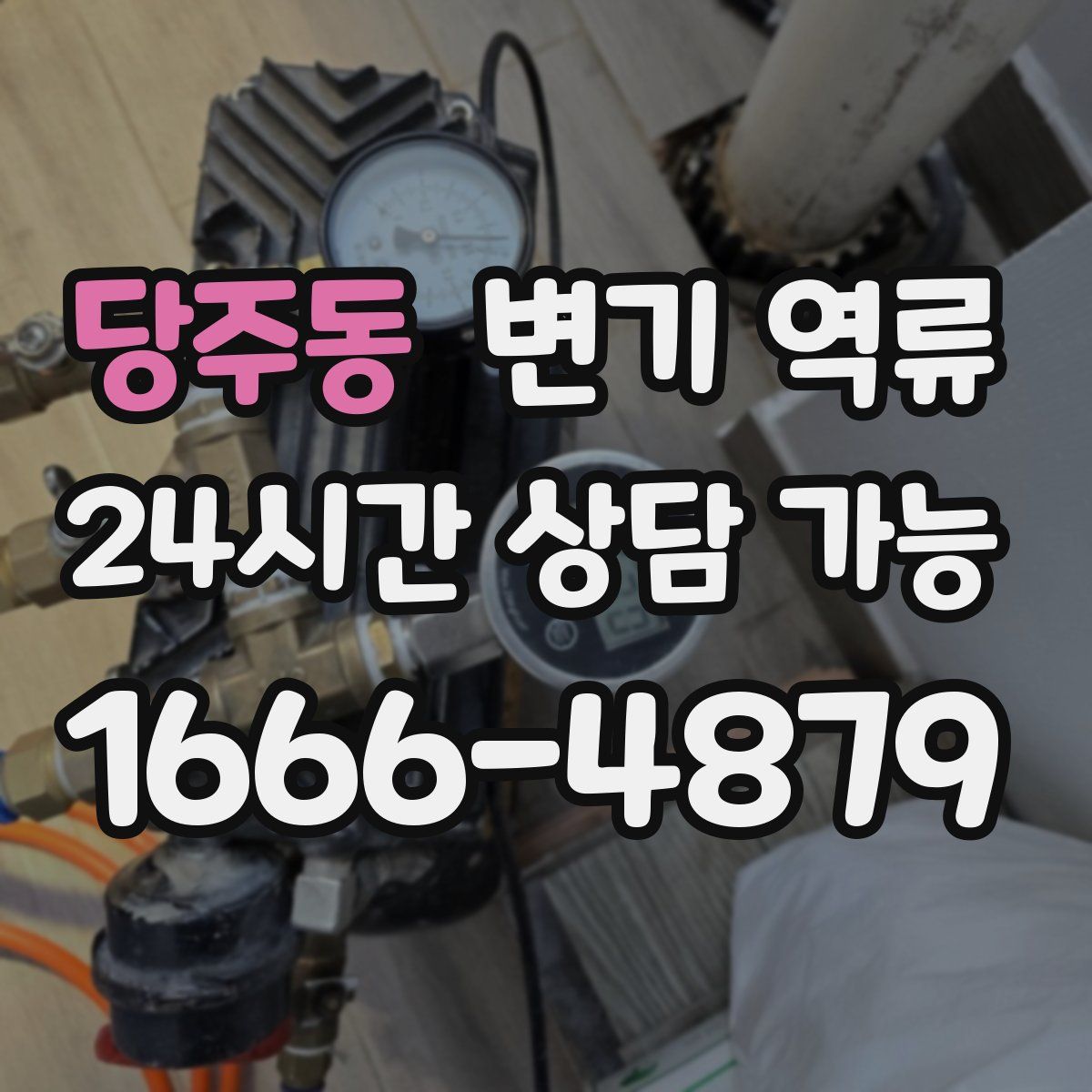 당주동 변기 역류