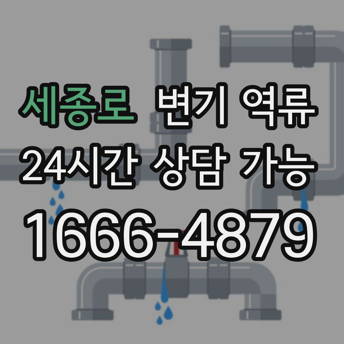 세종로 변기 역류 세면대·샤워기까지 동시에 이상하면 공용 라인 의심