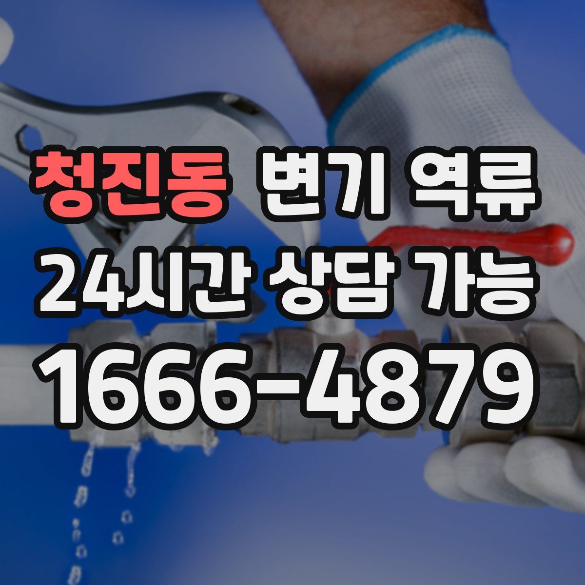 청진동 변기 역류