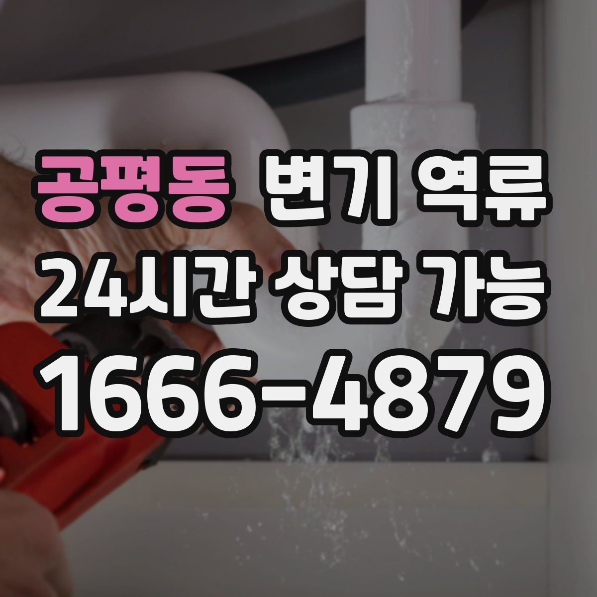 공평동 변기 역류 샤워를 하면 더 악화될 수 있는 이유