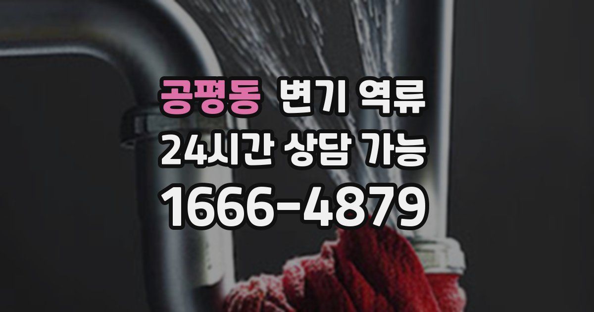 공평동 변기 역류