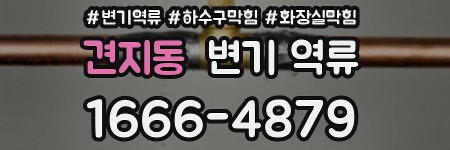 견지동 변기 역류