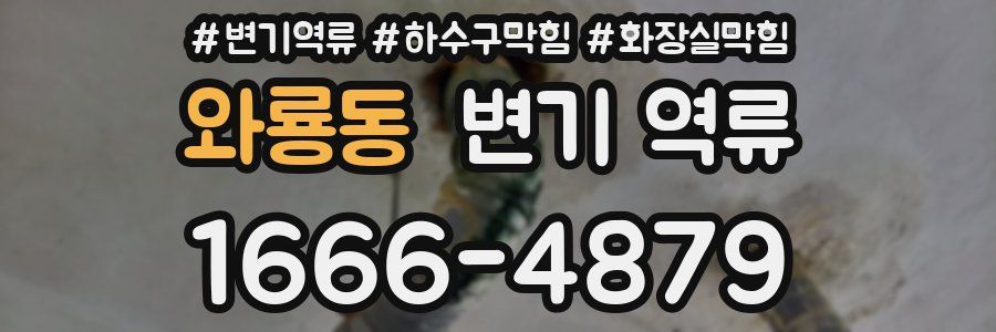 와룡동 변기 역류