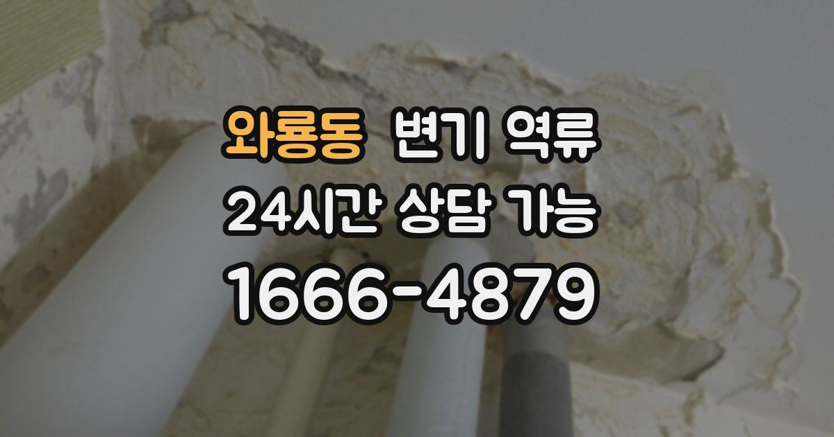 와룡동 변기 역류