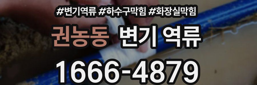 권농동 변기 역류