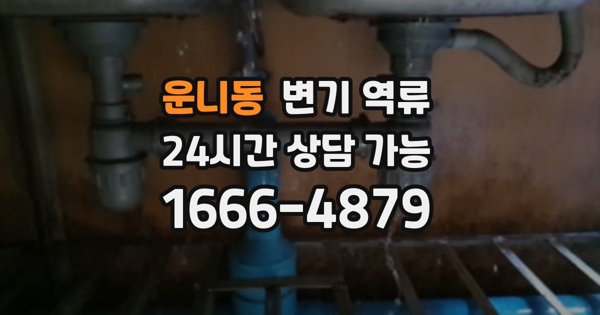운니동 변기 역류