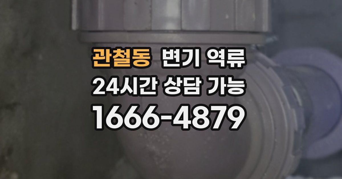 관철동 변기 역류