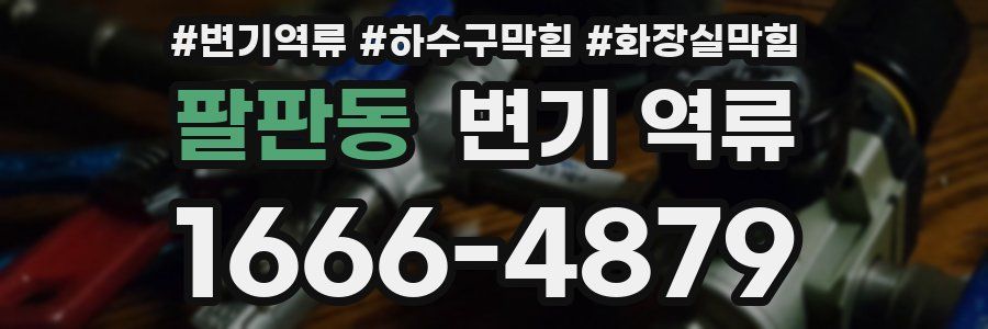 팔판동 변기 역류