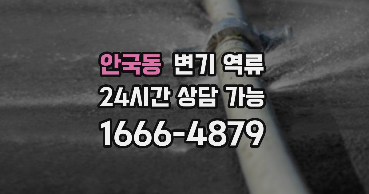 안국동 변기 역류