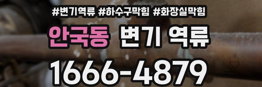 안국동 변기 역류