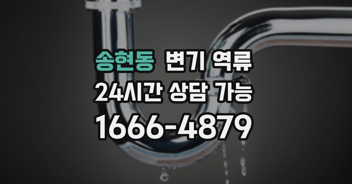 송현동 변기 역류