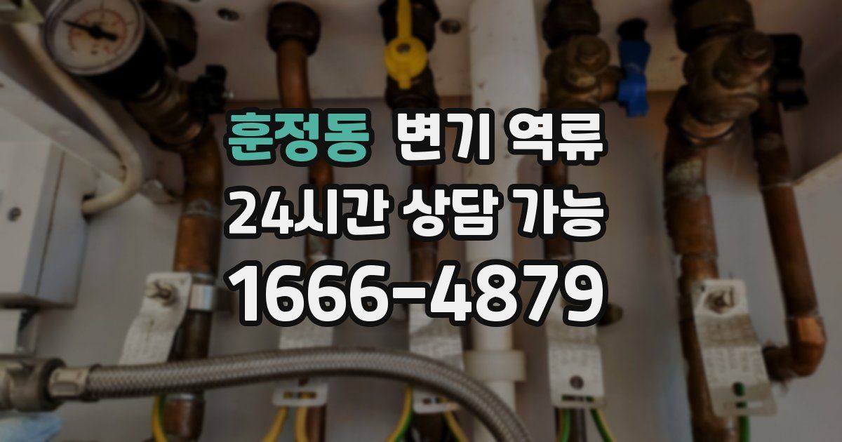 훈정동 변기 역류