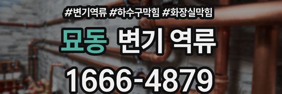 묘동 변기 역류