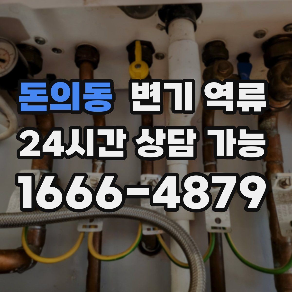 돈의동 변기 역류 실리콘 틈으로 오염이 스며들 수 있는 이유