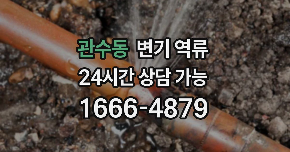 관수동 변기 역류