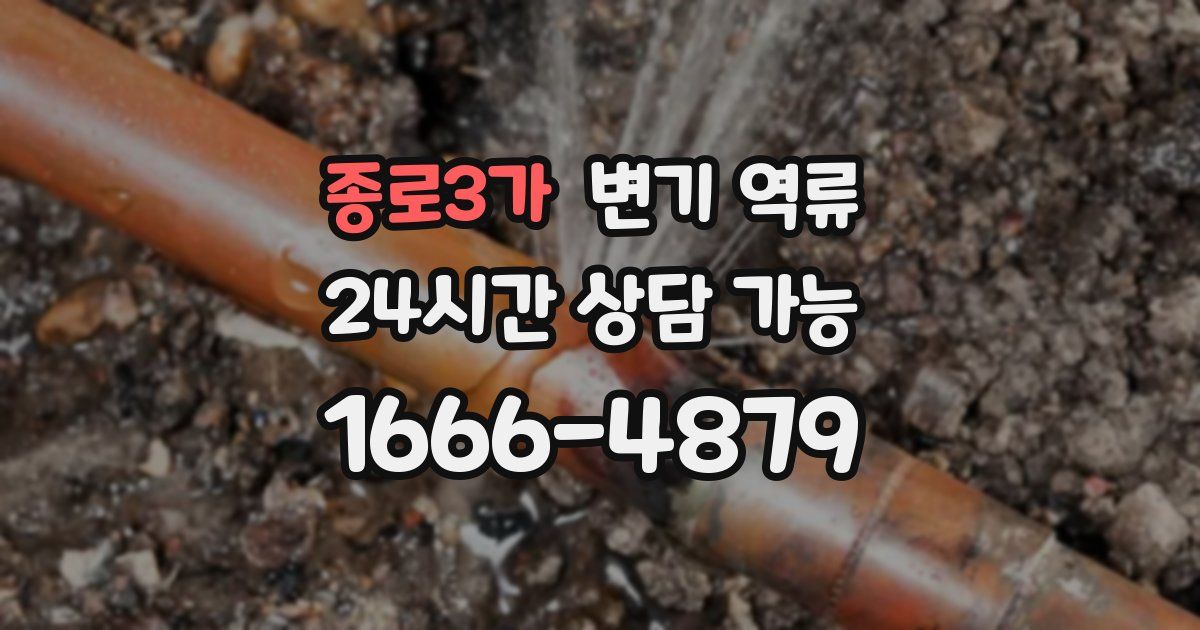 종로3가 변기 역류