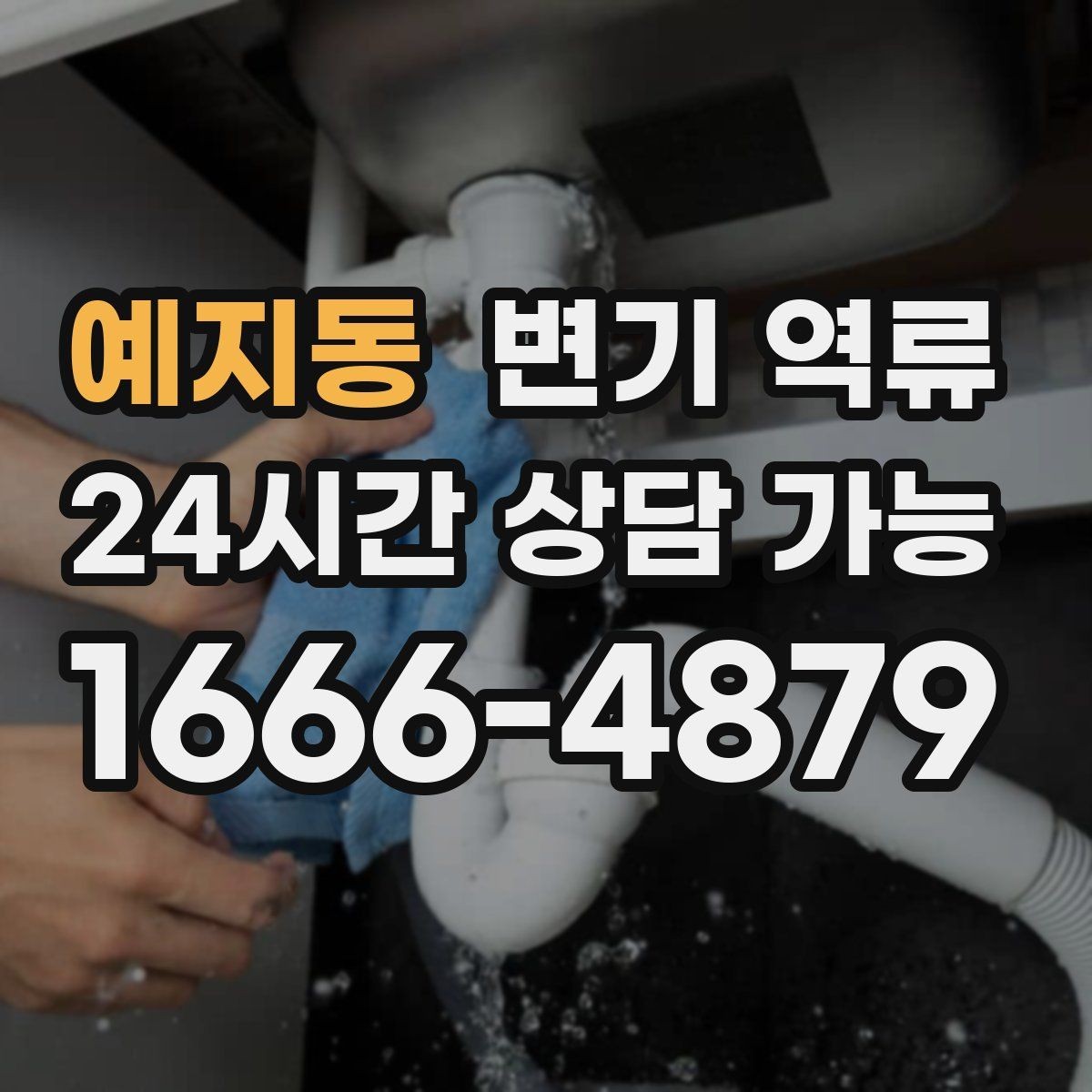 예지동 변기 역류 변기만 문제인지 다른 배수구도 느린지 확인
