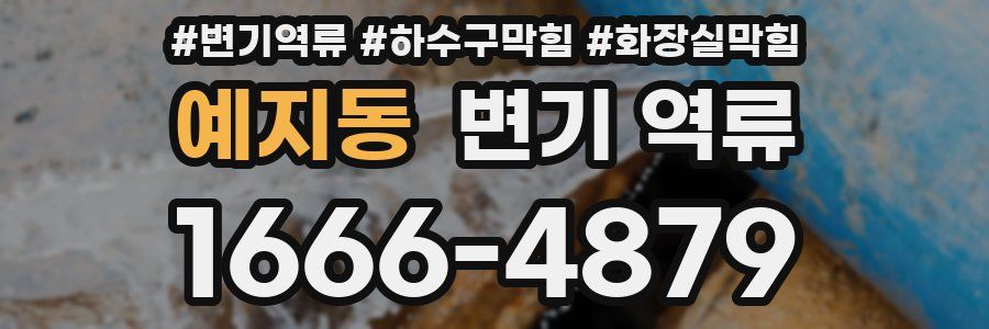 예지동 변기 역류