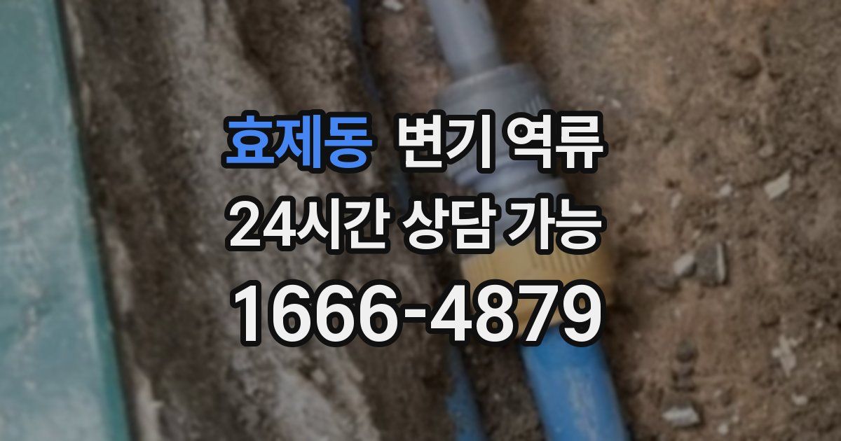 효제동 변기 역류