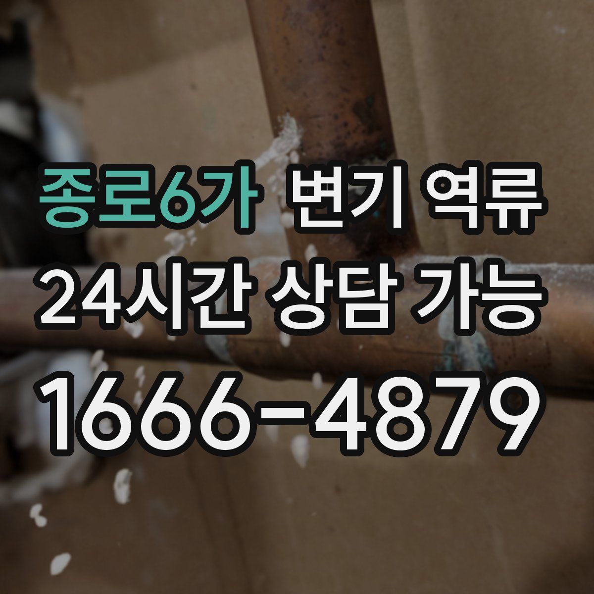 종로6가 변기 역류