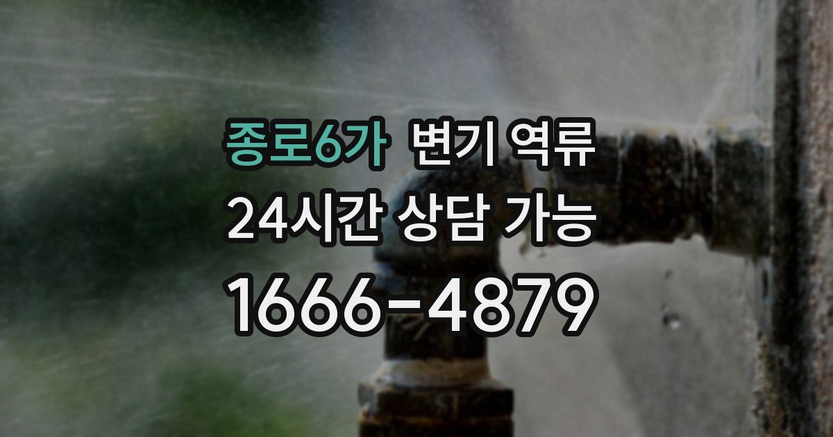 종로6가 변기 역류