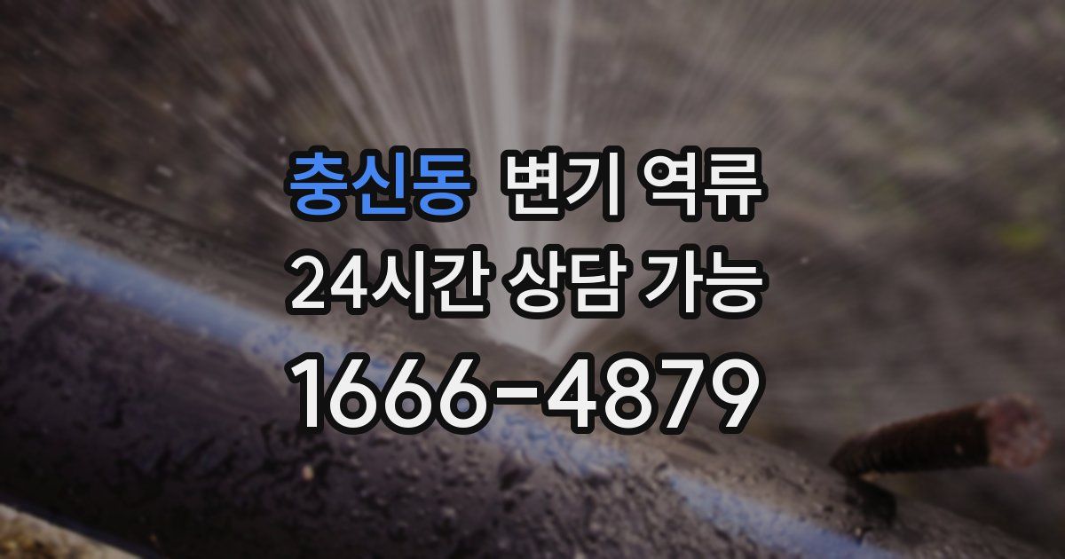 충신동 변기 역류