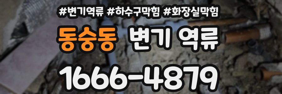 동숭동 변기 역류